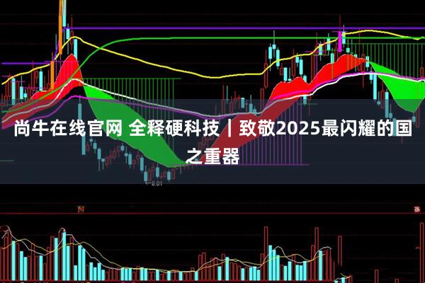 尚牛在线官网 全释硬科技｜致敬2025最闪耀的国之重器