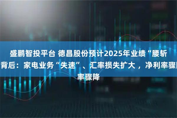 盛鹏智投平台 德昌股份预计2025年业绩“腰斩”背后:家电业务“失速”、汇率损失扩大 ,净利率骤降