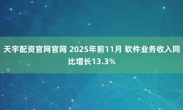 天宇配资官网官网 2025年前11月 软件业务收入同比增长13.3%