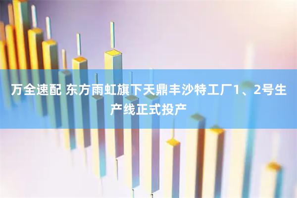 万全速配 东方雨虹旗下天鼎丰沙特工厂1、2号生产线正式投产