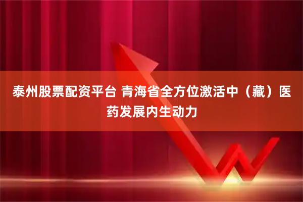 泰州股票配资平台 青海省全方位激活中（藏）医药发展内生动力