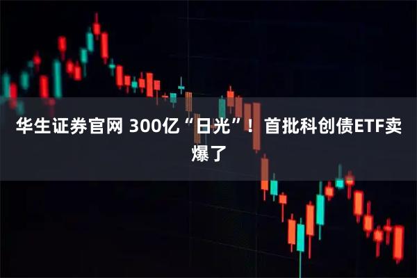 华生证券官网 300亿“日光”！首批科创债ETF卖爆了