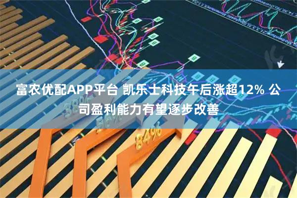 富农优配APP平台 凯乐士科技午后涨超12% 公司盈利能力有望逐步改善